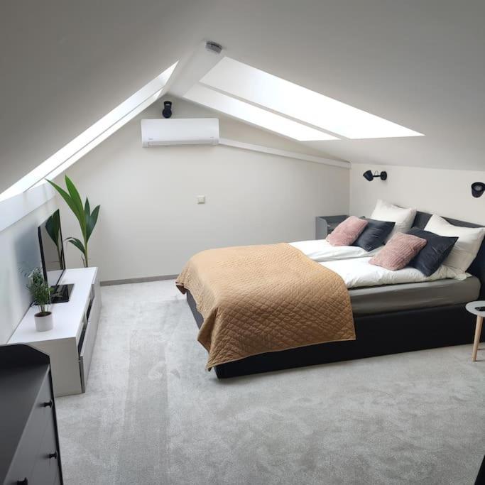 Most Wanted Apartment. Old Town. VNO