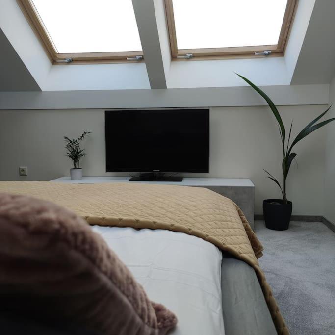 Most Wanted Apartment. Old Town. Appartement VNO